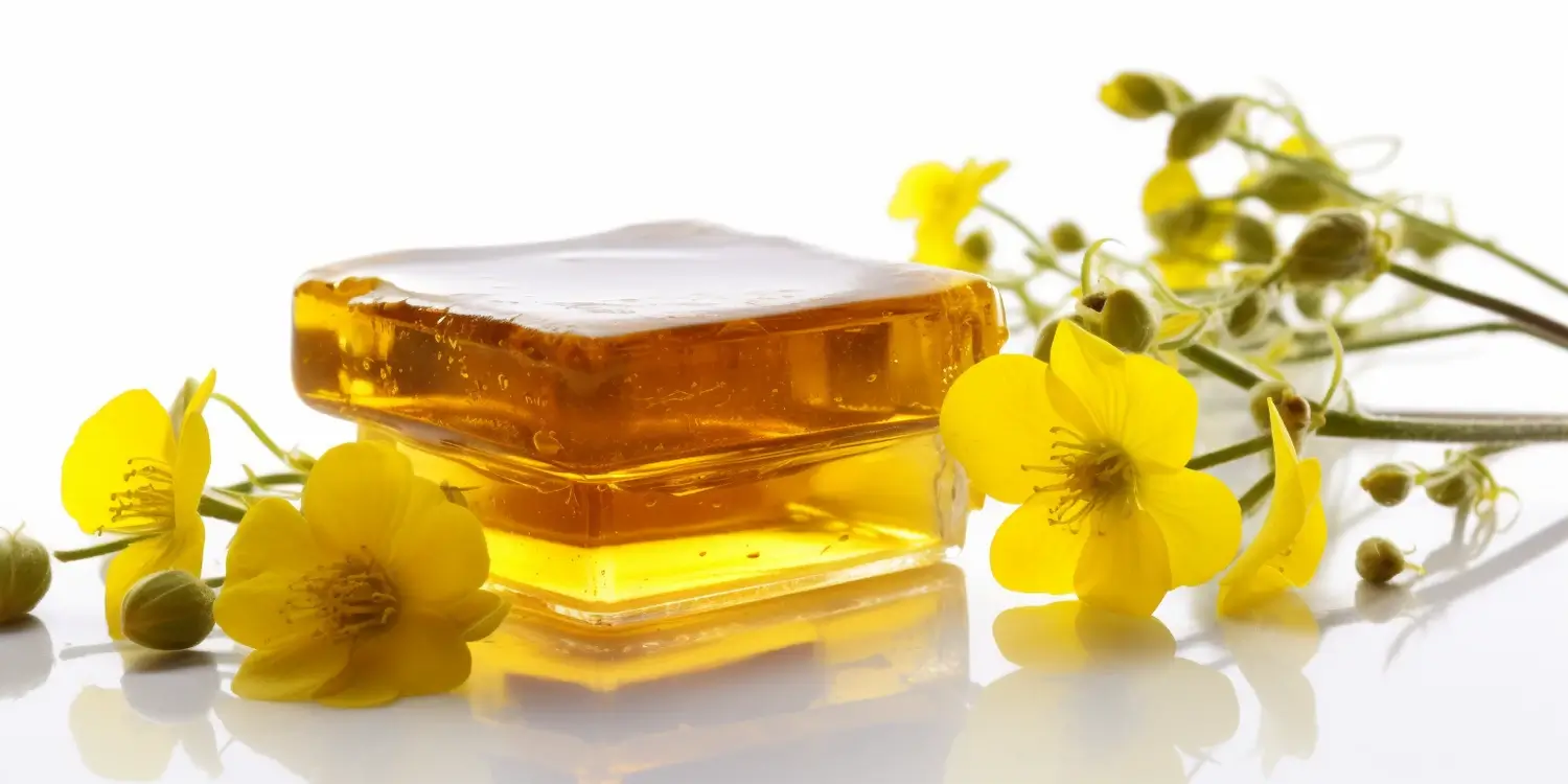 Jak pszczoły robią miód?