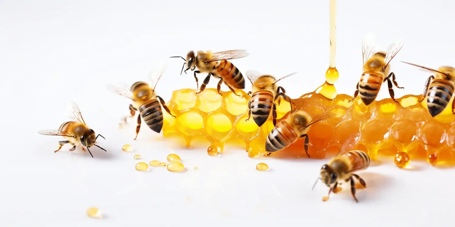 Łagodne matki pszczele